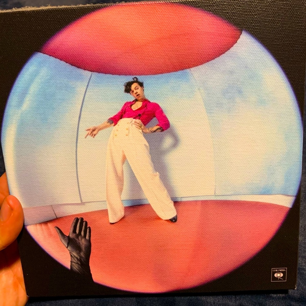 Harry styles canvas